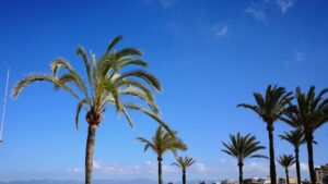 sol buen tiempo playa