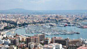 palma vista a&eacute;rea