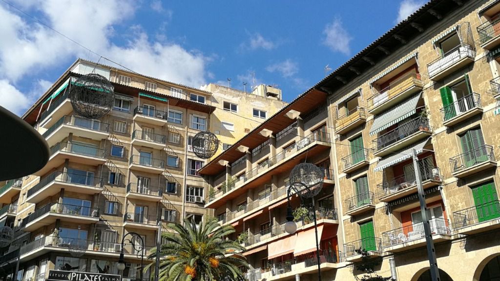 palma pisos