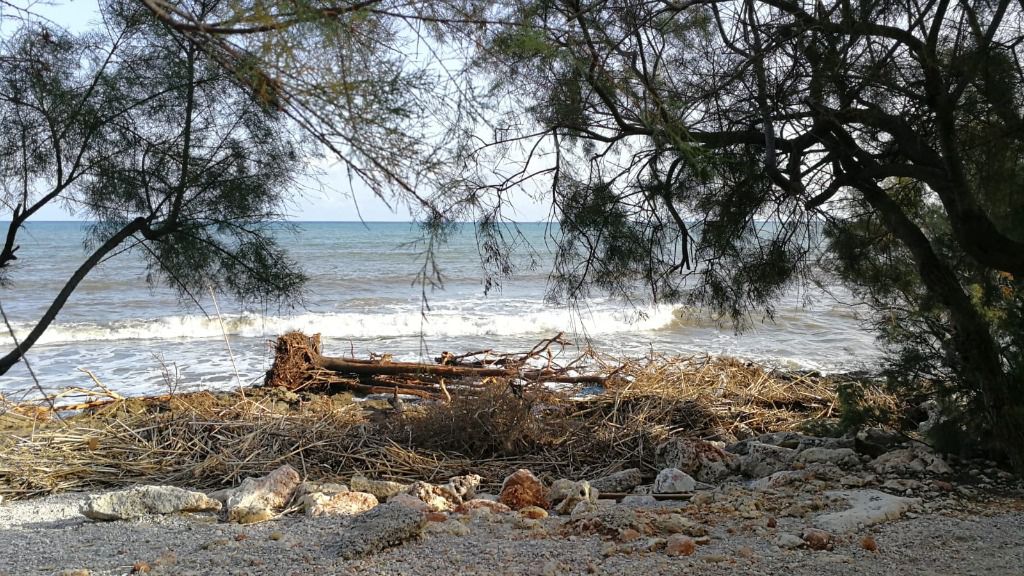 playa torrentada sant llorenç