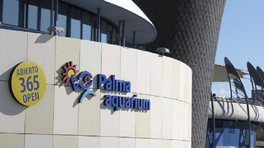 Palma aquarium
