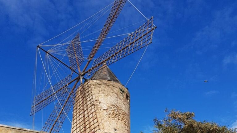 molinos