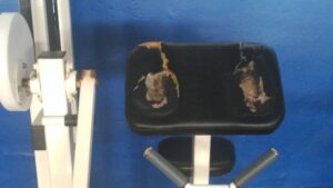 gimnasio sant ferran