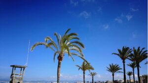 sol buen tiempo playa