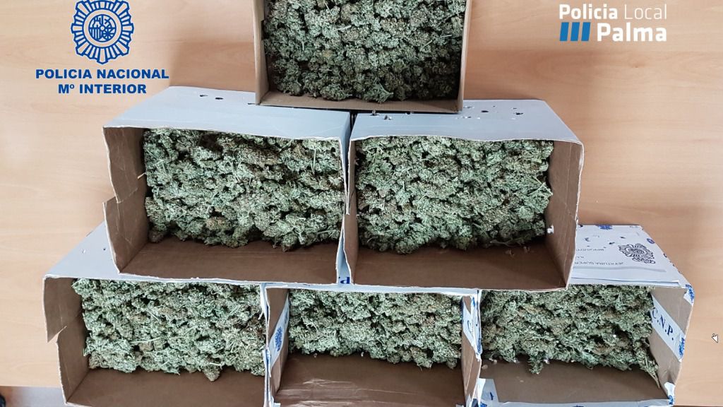 marihuana