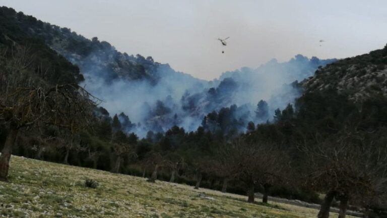 incendio lloseta alaro son ordines