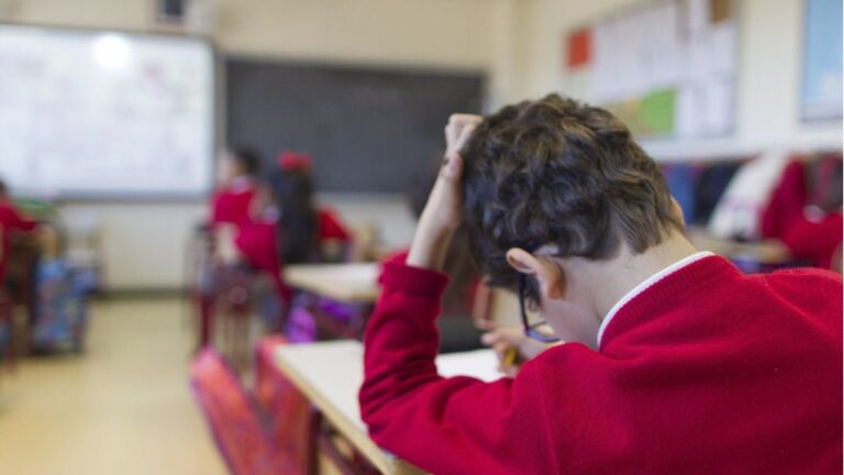 colegio niño estudiante clase