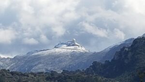 nieve en el puig major