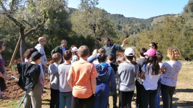 Santuario de abejas en la finca pública de Galatzó