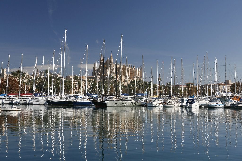 Palma barcos