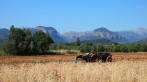 agricultura ecologica
