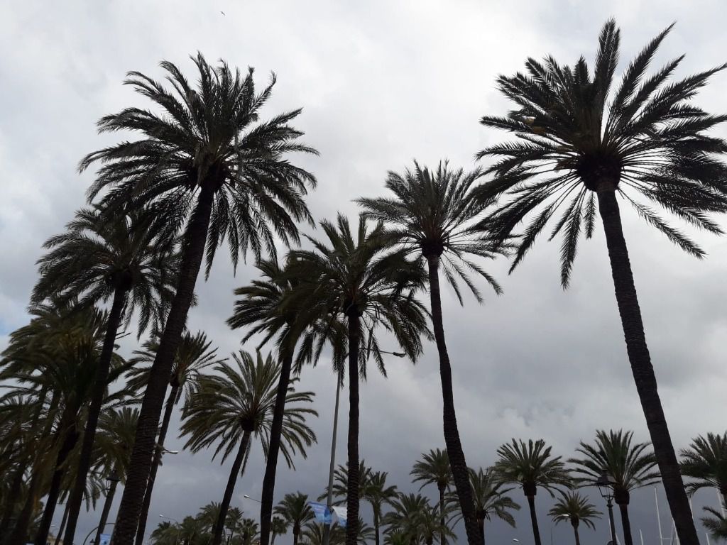 nubes