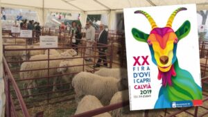 XX Fira d'Ov&iacute; i Capr&iacute; de Calvi&agrave;