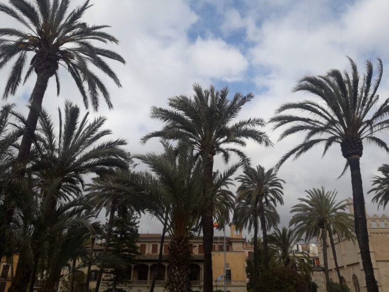 nubes