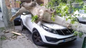 Foto: Polic&iacute;a Local de S&oacute;ller