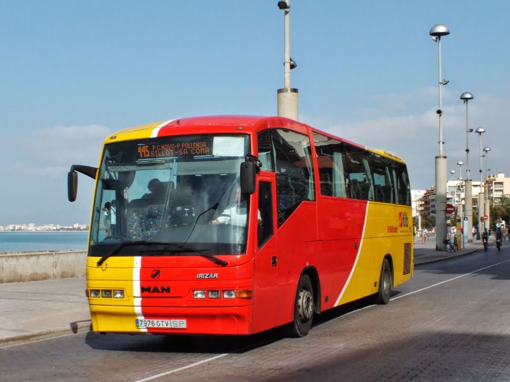 bus tib