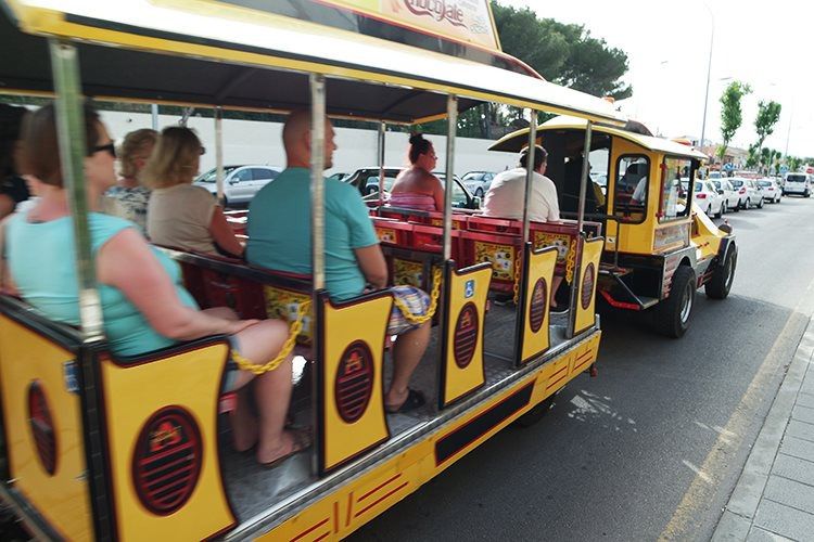 mini tren turistico