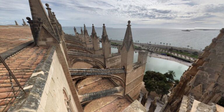 catedral de Palma