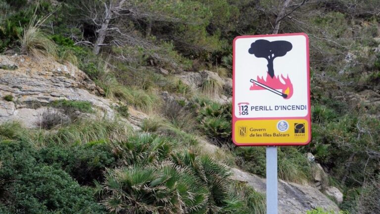 incendio forestal fuego