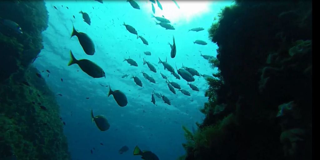 isla del toro