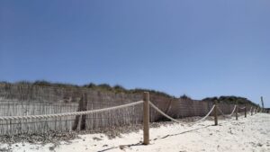 es trenc tumbonas hamacas calor sol sa rapita