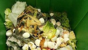 recogida selectiva de materia org&aacute;nica