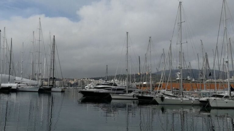 barcos yates palma