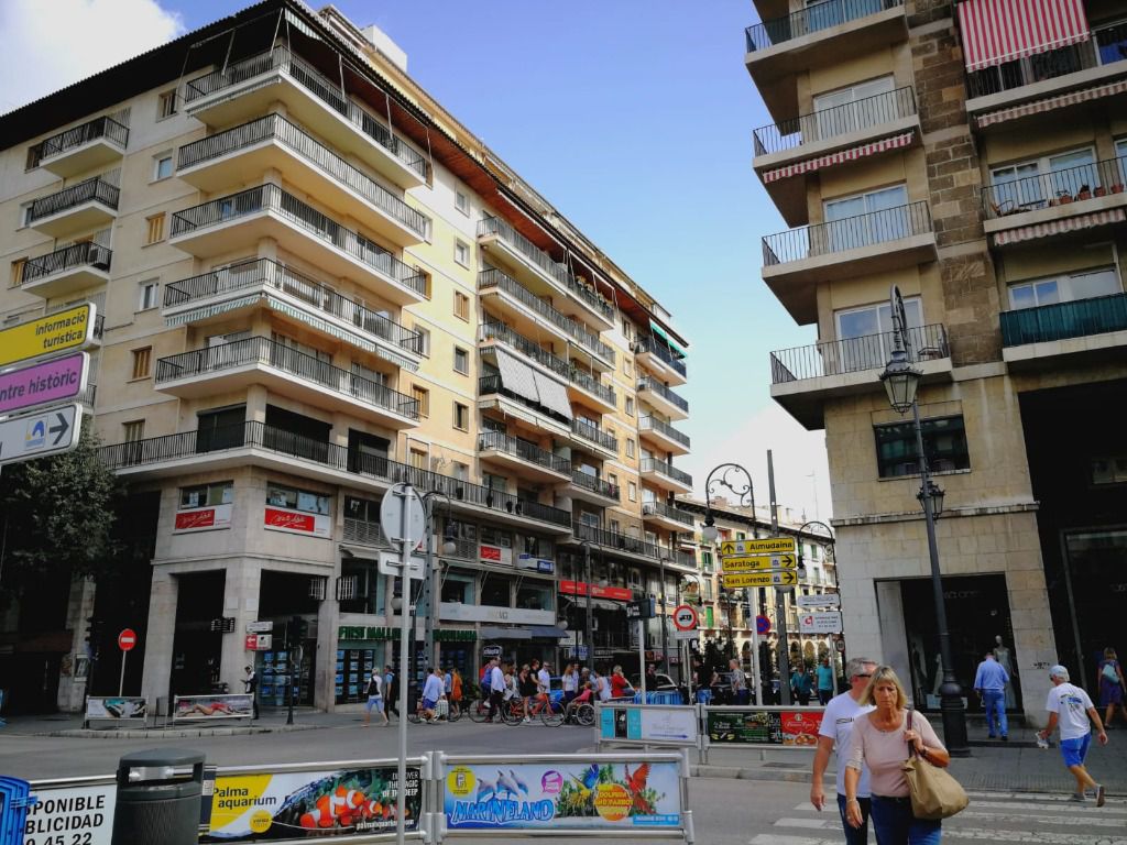 pisos palma turistas