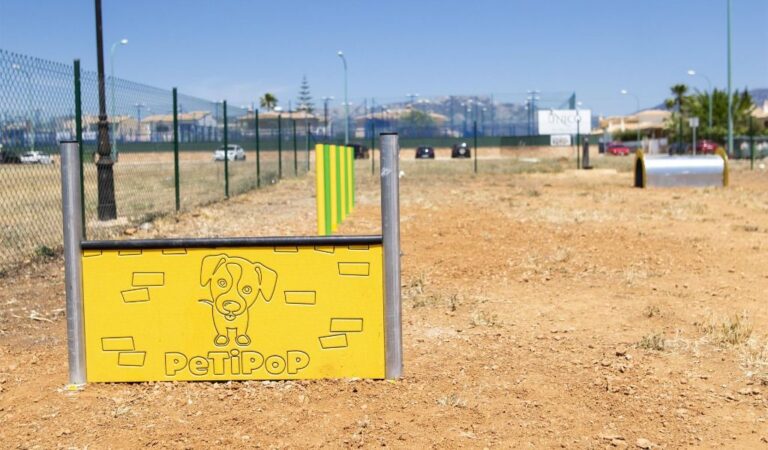 Juegos para perros
