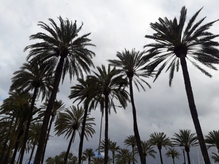 nubes