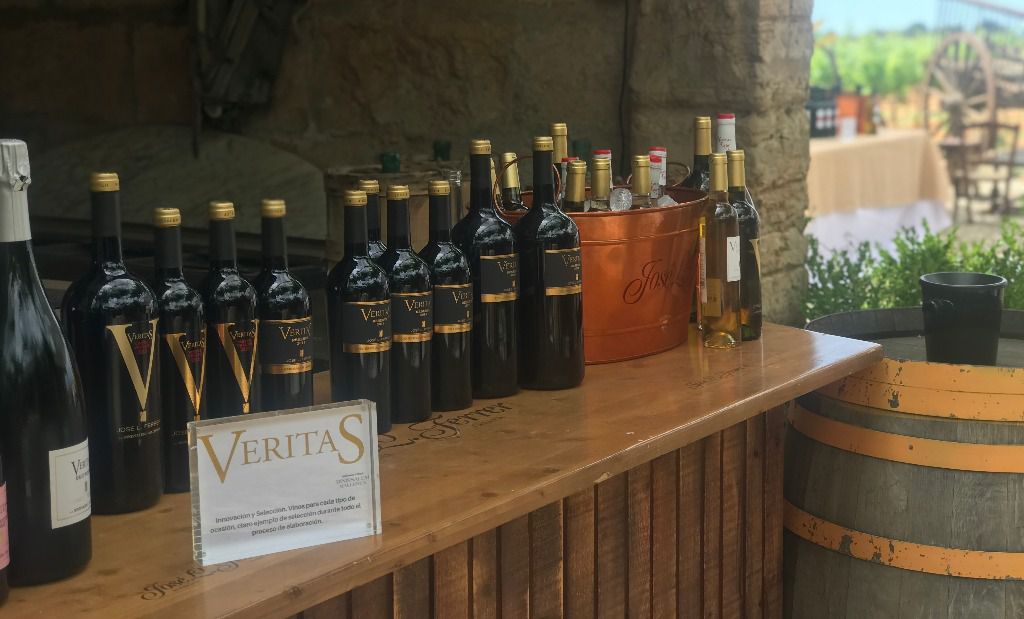 Gama Veritas