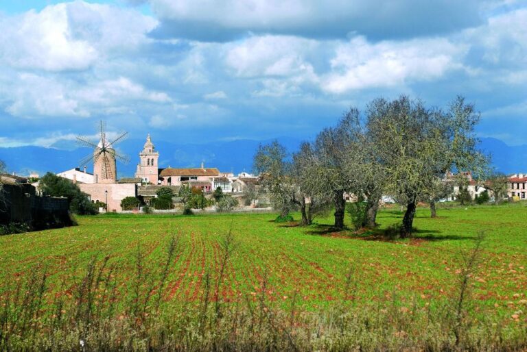 algaida