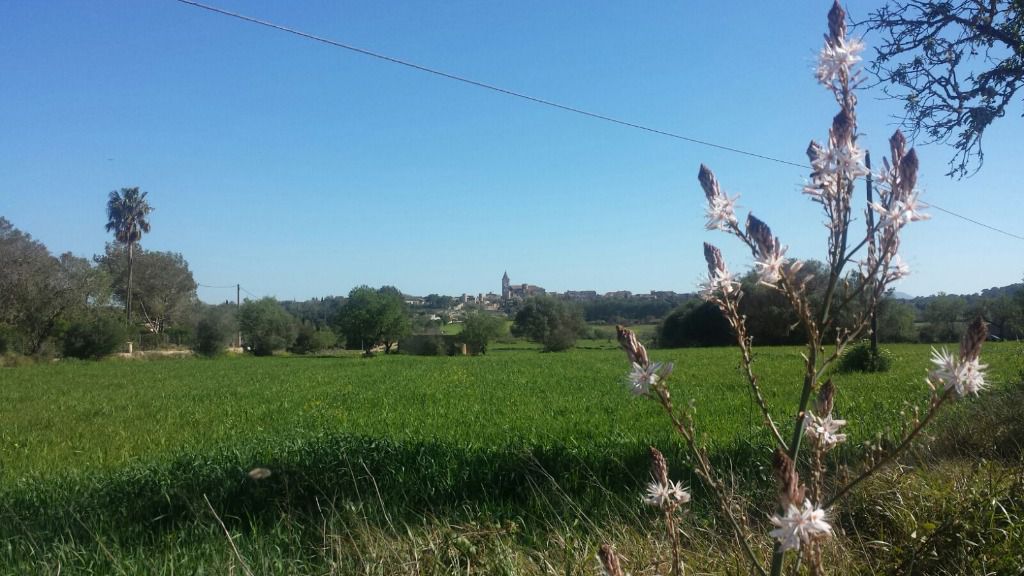 primavera sencelles paisaje