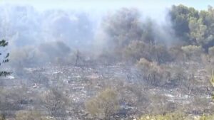 incendio manacor cala magraner