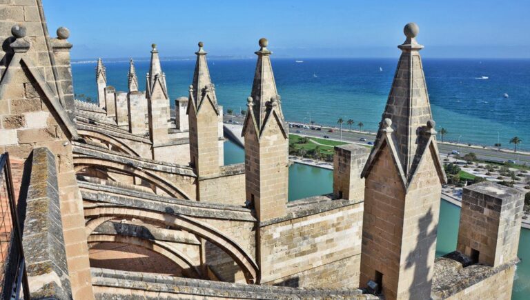 catedral vistas