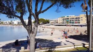 alcudia