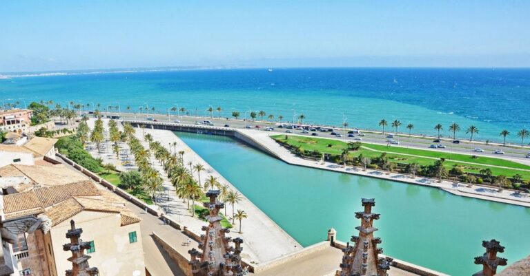 Palma tiempo