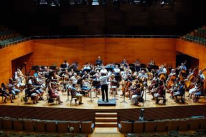 arquesta sinf&oacute;nica