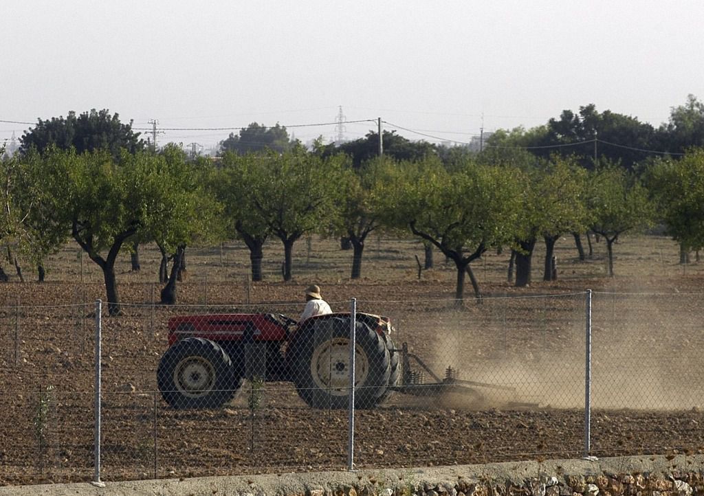 agricultura