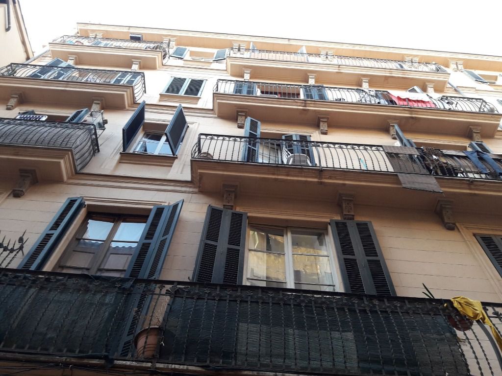 pisos, palma