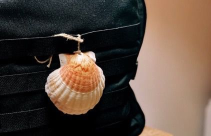 concha camino de santiago