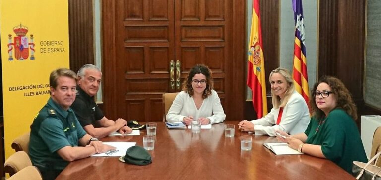 delegación de gobierno