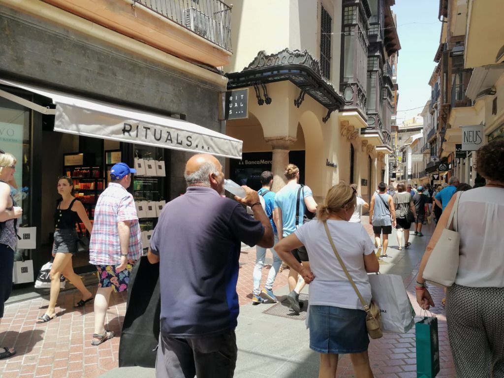 calor palma