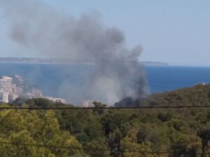 incendio cala major
