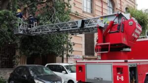 arbol ca&iacute;do bomberos