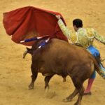 toros tauromaquia