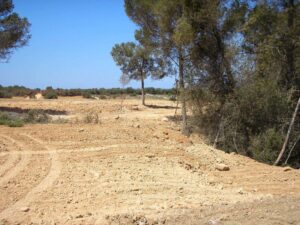 terraferida obras ilegales