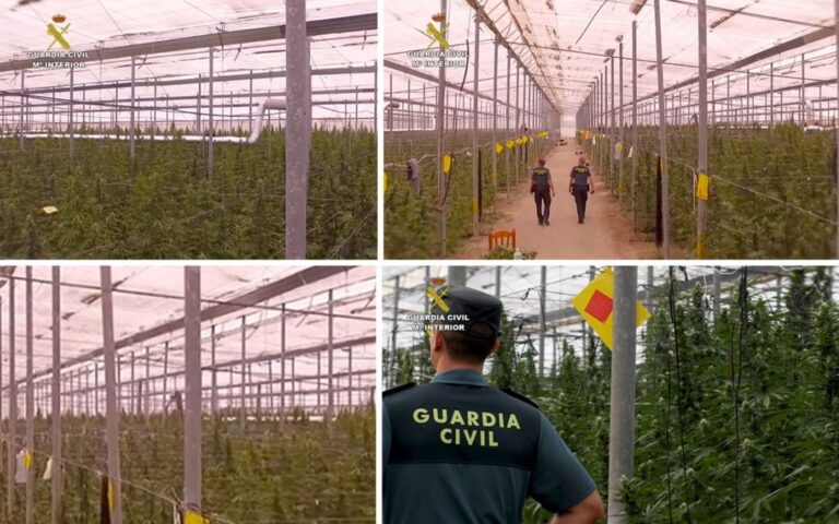 guardia civil marihuana