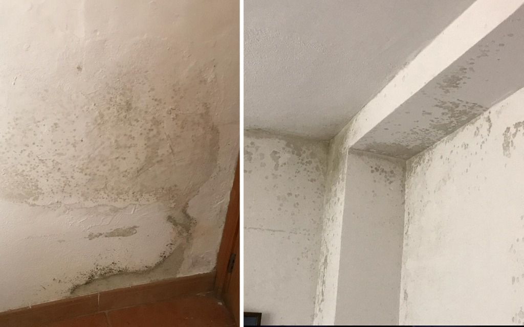 vivienda tutelada alaró