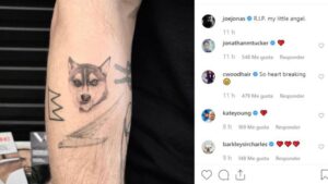 sophie turner Joe Jonas